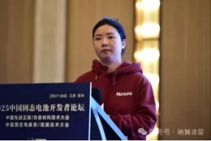 낙사우나 亮相2025中国固定电池开发者论坛